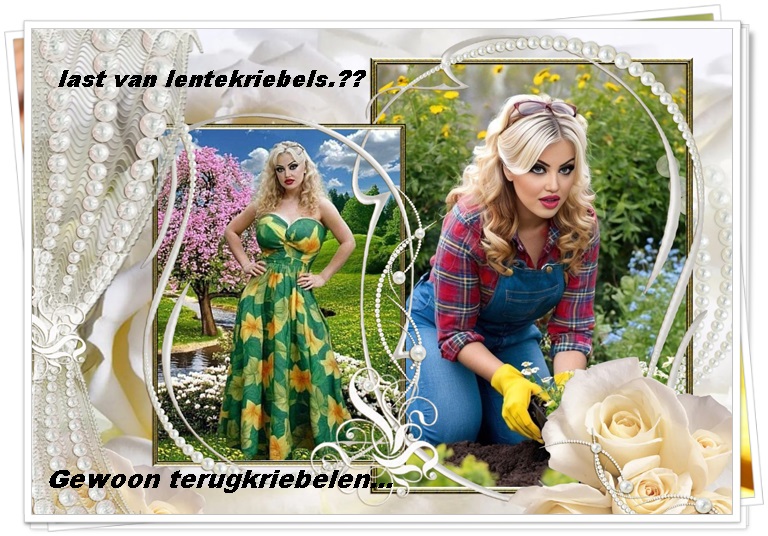 Klik op de afbeelding om de link te volgen