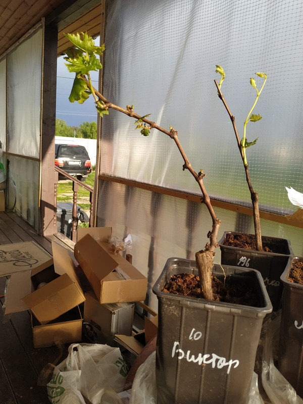 PHOTO-2022-06-01-19-31-57 (2)