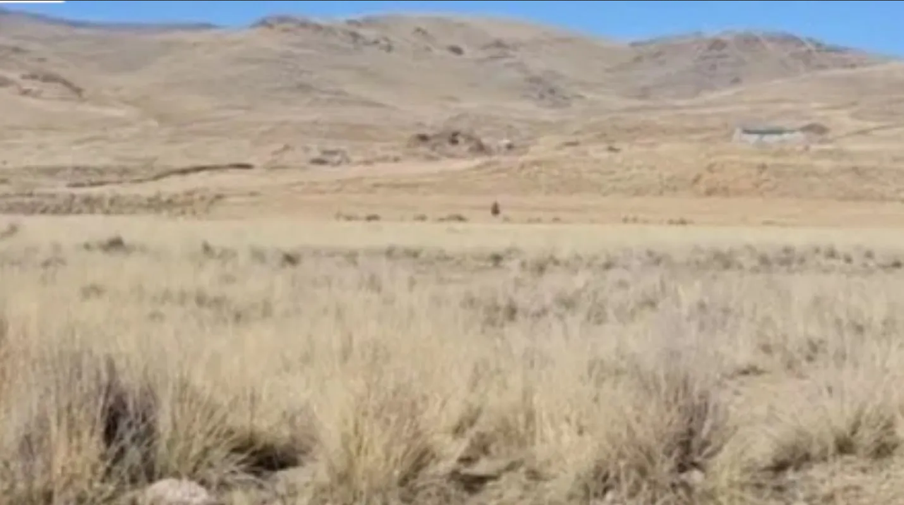 Video: Madre e hijo se reencuentran en el campo y conmueven en internet