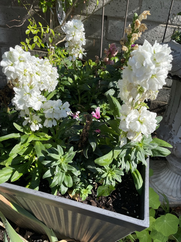 A84C9302-98D5-450A-9B21-310B2122B770_1_105_c