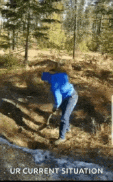 digg digging