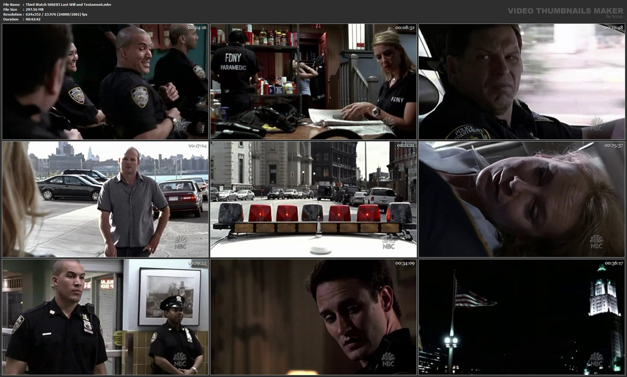 Third Watch S06E03 Last Will and Testament.mkv