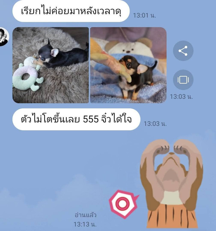 รูปรีวิว 1