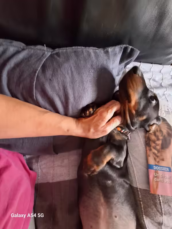 [Image: 20241017-115728.avif]