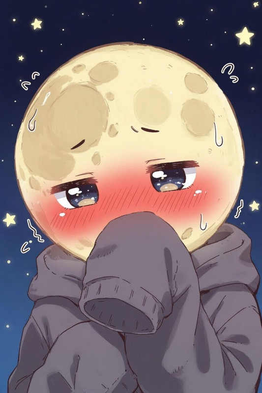 sshinymoonn