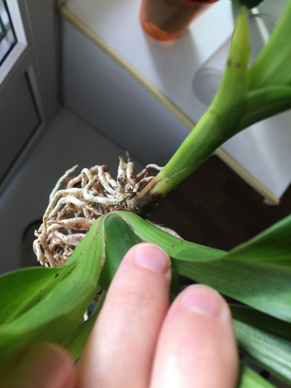 8B023660-503F-45D6-875C-FCEA326859A5