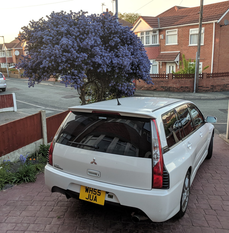 IMG_20190429_200443 (2)