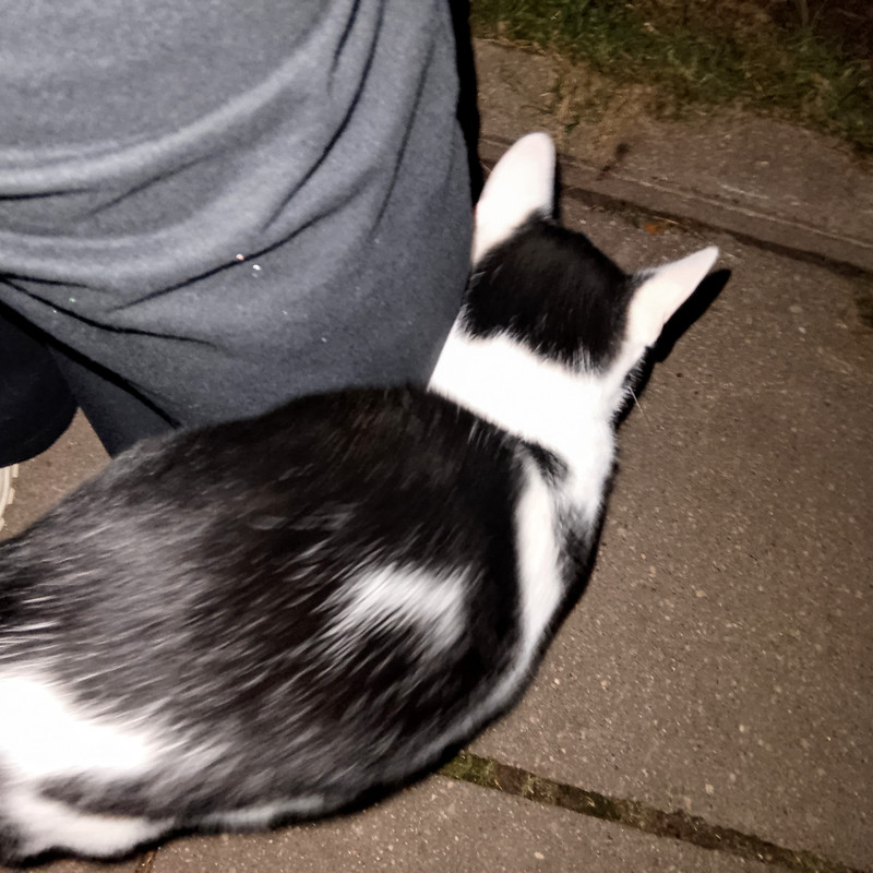 IMG_20241125_221031~2