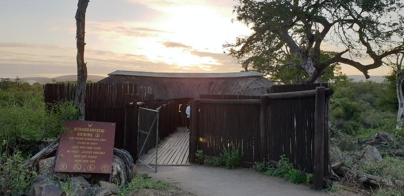 DÍA 10: KRUGER (Lower Sabie) - Sudáfrica y Seychelles 2018 - Una Honeymoon llena de vida (4)