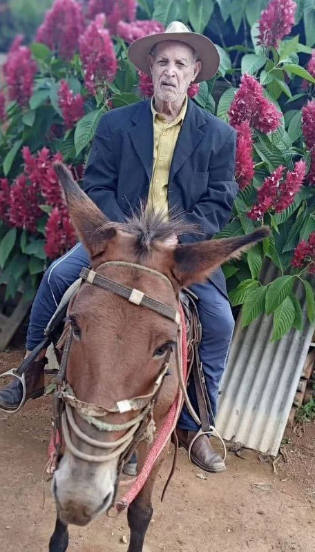 photo_2023-08-01_20-34-53