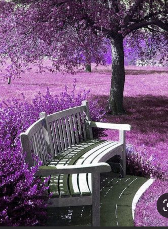 Screenshot_20230409_221514_Pinterest