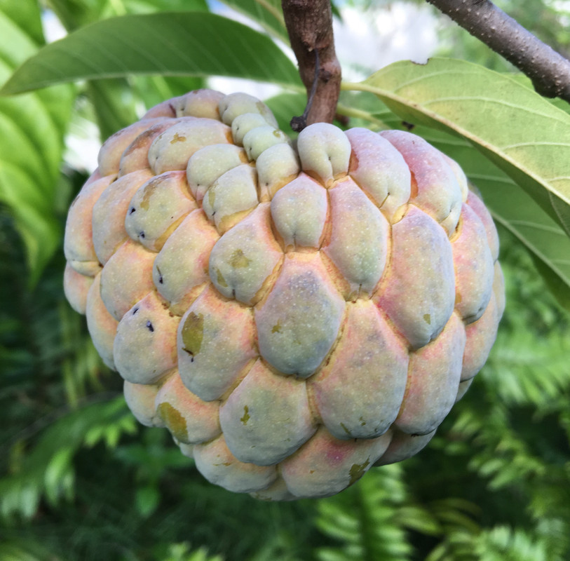 9F8D2F8E-7930-4FA4-A046-36FF2CBAACCC