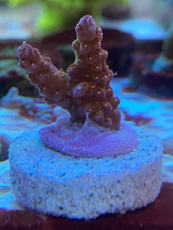 240D5F23-EB75-4206-A83F-98FCA8728D05