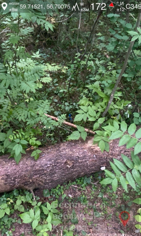 Screenshot_20251009-233643_Telegram