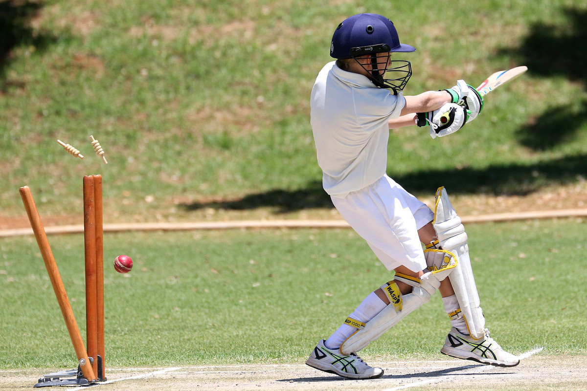 people-cricket.jpg