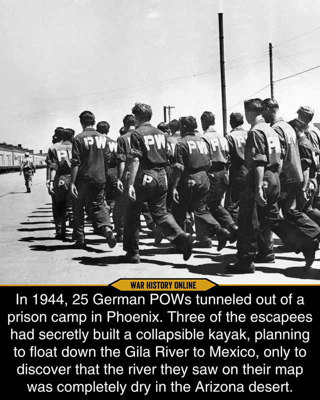 IMG 9224
