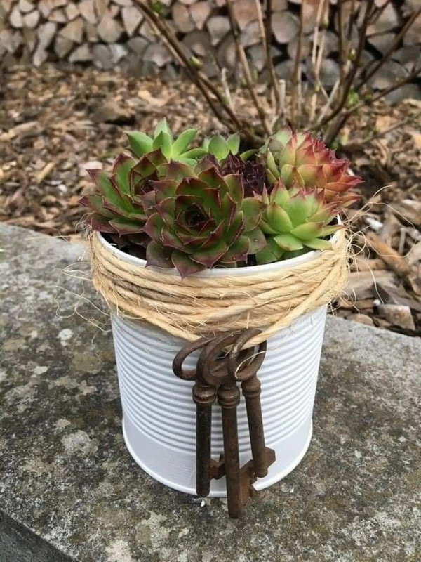 Shabby DIY255