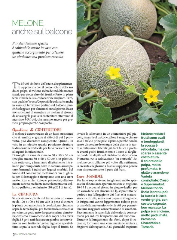 Pol Ver Lug 2021 (7)