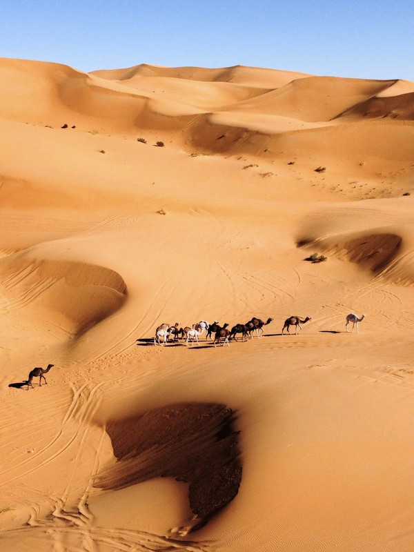 31FA8ACF-7CEF-4CFE-849F-530EC1298166