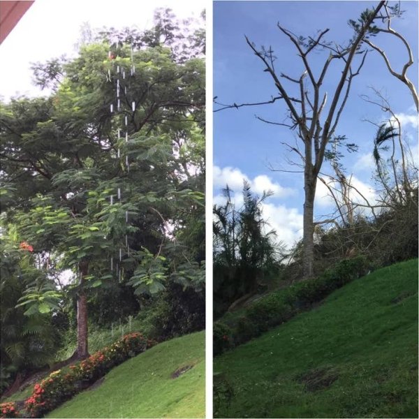 Before-after-3