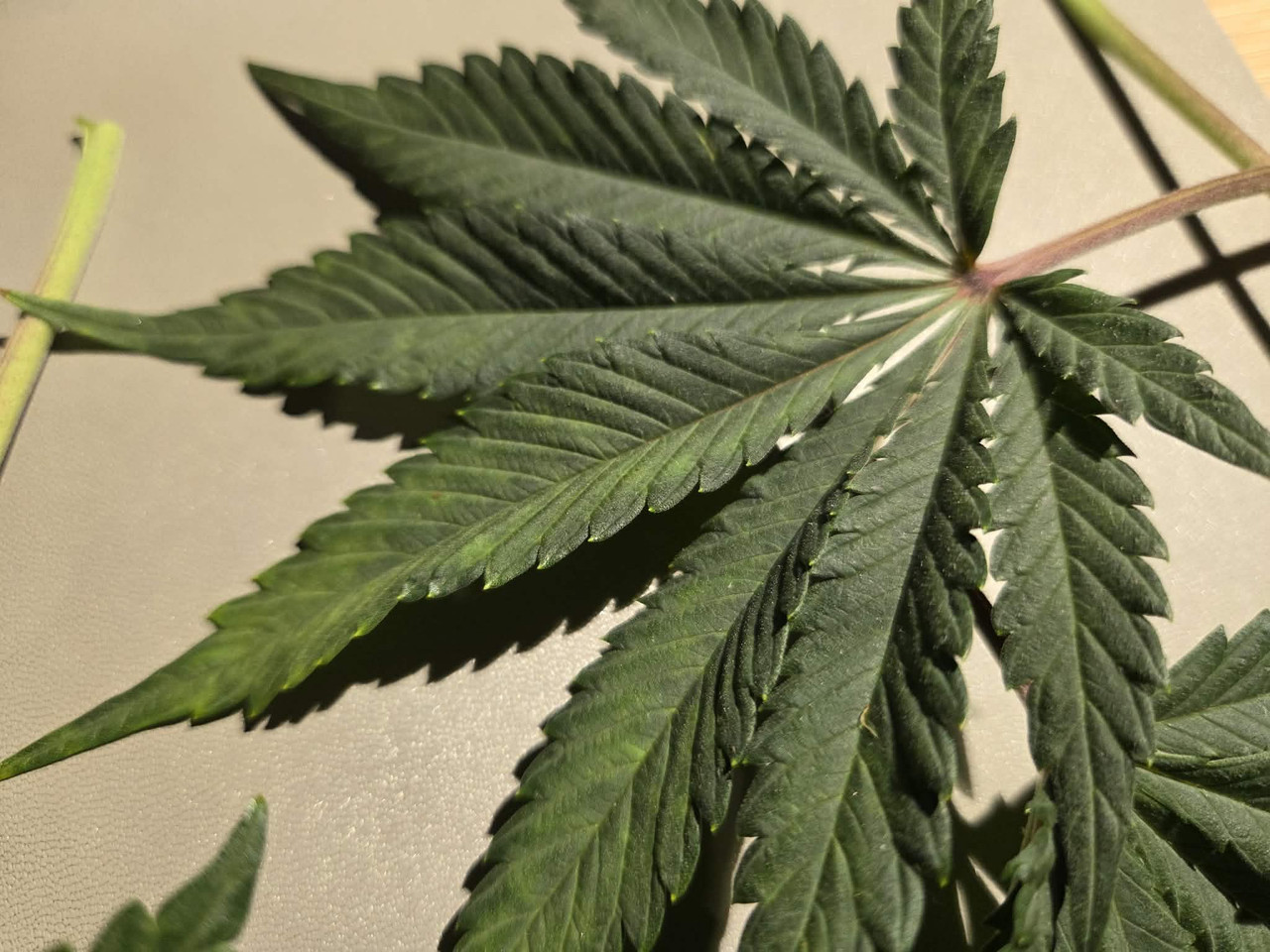 Messenger creation F0B1510C ED4F 486C 9A20 2E5C4EDFCBEE