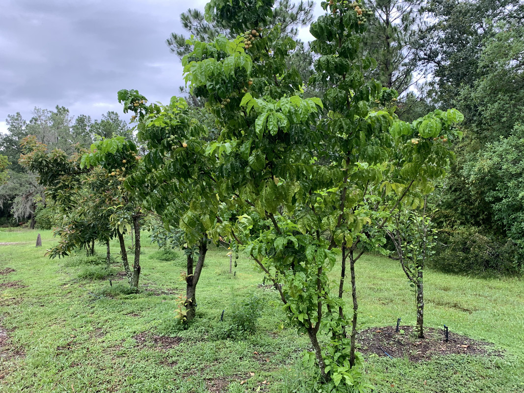 5FBC4A48-4F30-47C0-B769-8A8CACB9952C