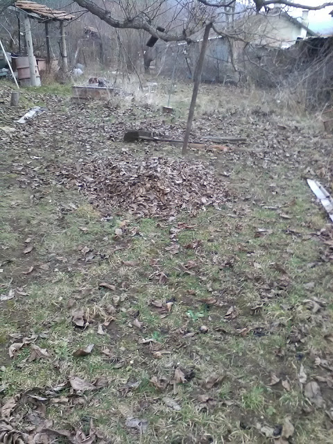zdr4