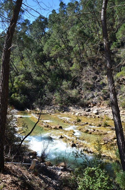 RUTA RIO BOROSA-12-3-2016-JAEN - Paseando por España-1991/2016 (9)