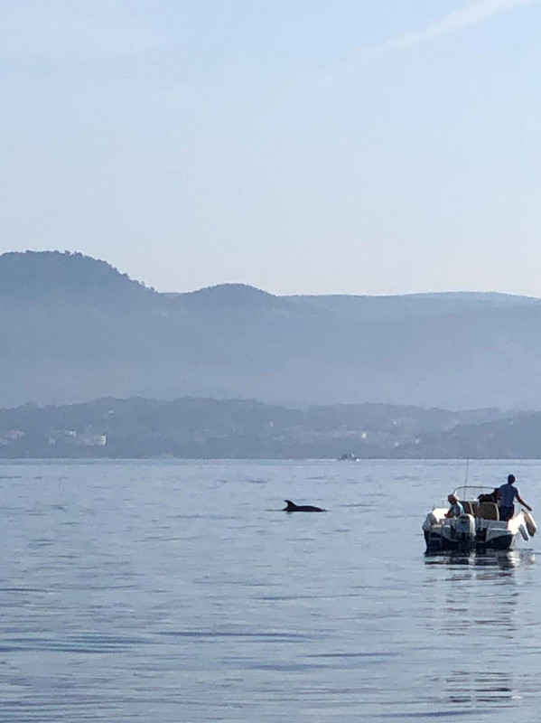 2DD79A28-DCC7-47B4-8047-88D1F97631CA