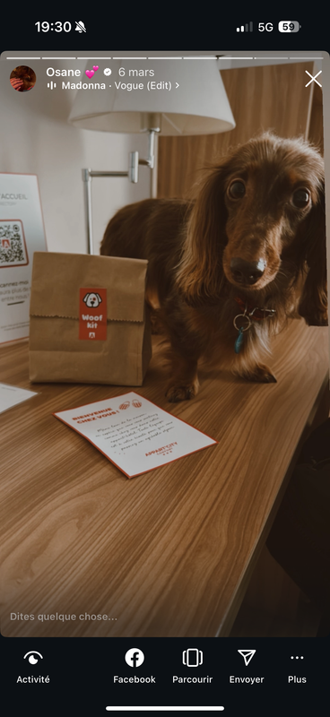 [Image: IMG-2241.png]