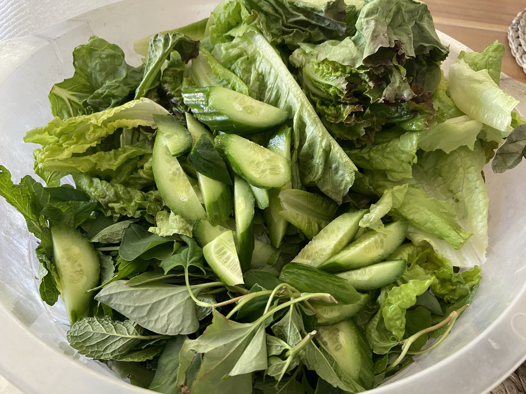 9BC35E01-3086-4D6B-B3E4-9C4E253D9F22