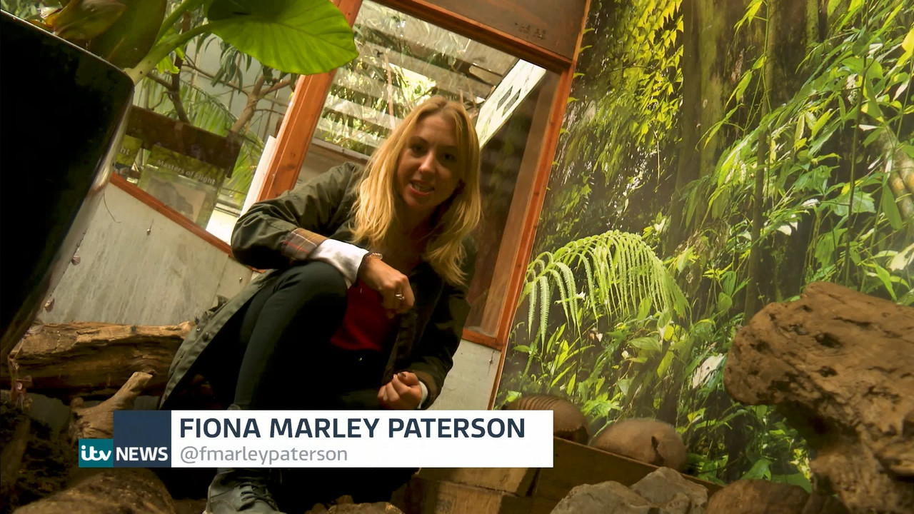 10.01 - 18.00.00 - ITV News London. The latest news in London and the....mts_snapshot_30.57.107