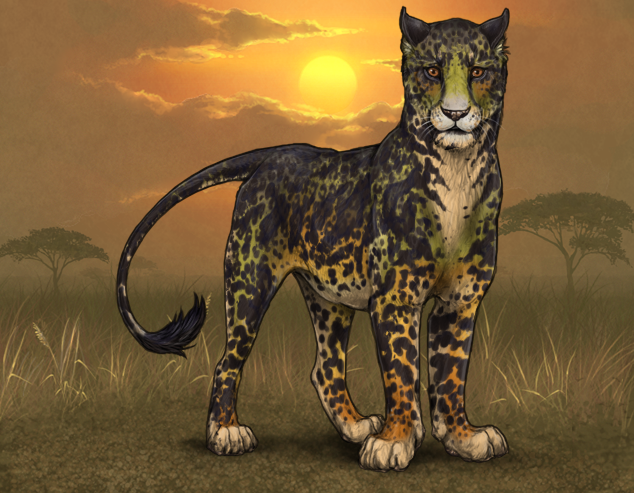 SW Fern // Hunter :|: Lioden