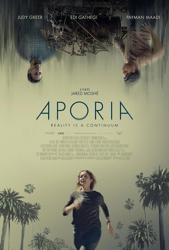 Aporia (2023) PL.480p.BDRip.XviD.DD5.1-K83 / Lektor PL