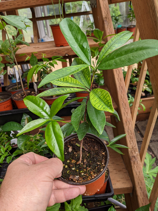 PXL_20230724_190600586