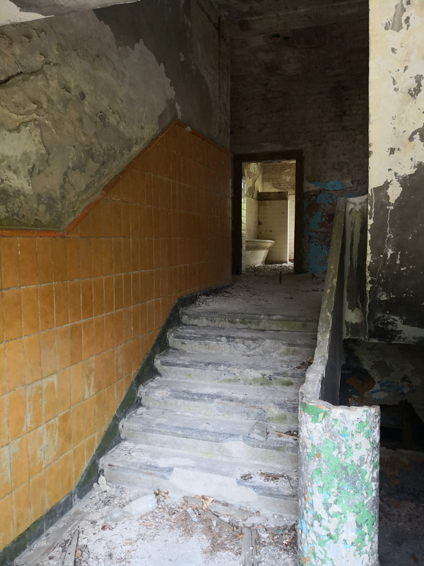 [Obrazek: IMG-20190512-112817.jpg]