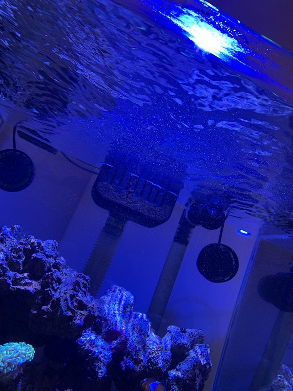 37F8EC7E-7BBC-46B7-A6EB-B03CA7D29A0E