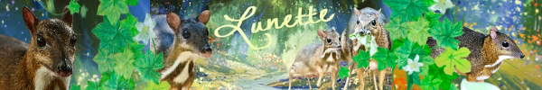 IMG-7611.png
