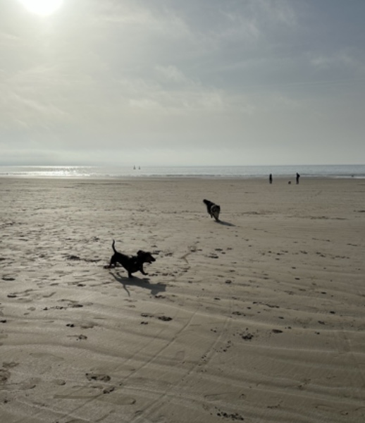 [Image: IMG-7478.jpg]