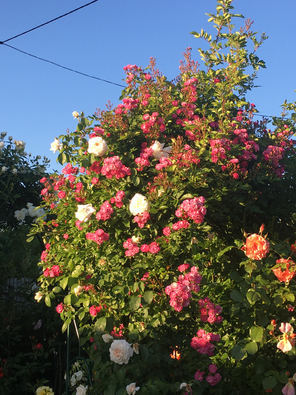 FCAD9F7A-4218-454E-A6CB-42DB521F6CC6