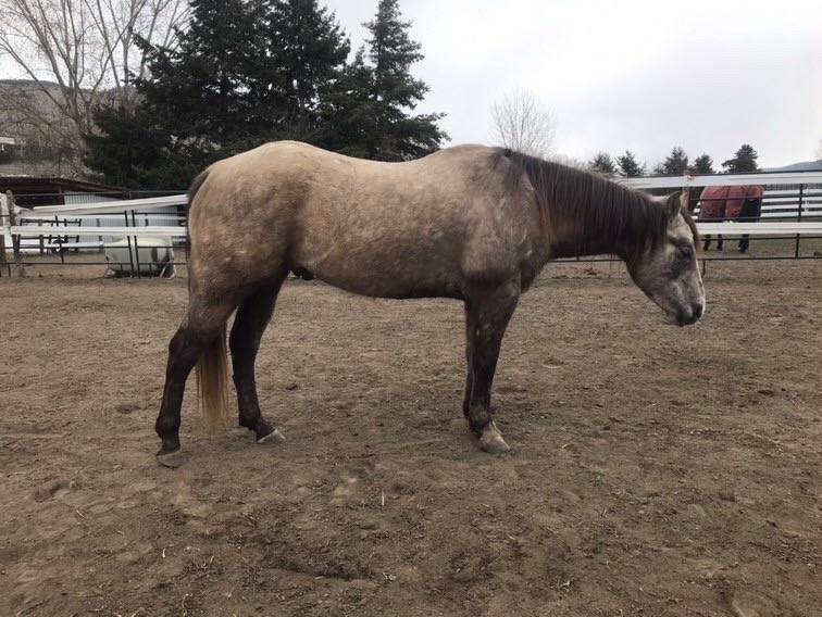 B7931A33-8300-476B-9D2D-21BAFFC3477B