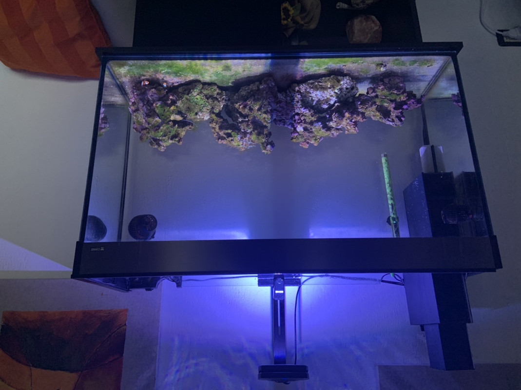 D1FD7060-B360-4ADA-AC25-AC8918ECF4FD