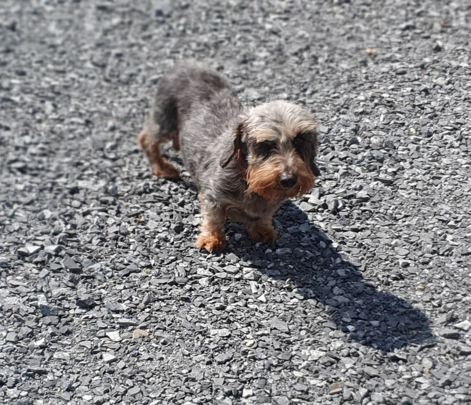 [Image: 20210715-192015.jpg]