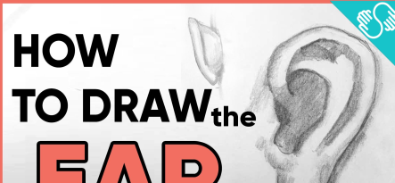 How to Draw the Ear - The Best Way How to Draw the Ear - The Best Way
