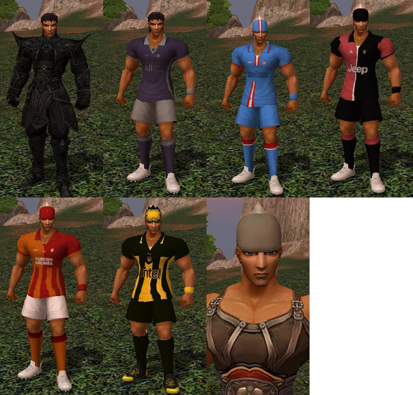 13.jpg