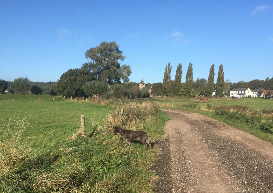 2024-07-10 nog een muisje IMG_4231 (002)