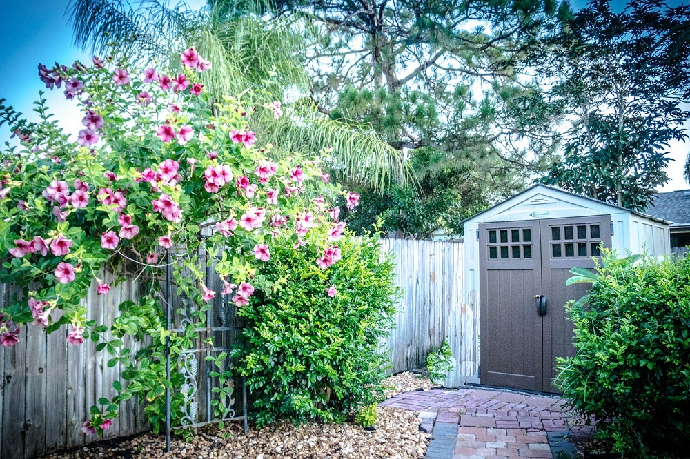 Garden Shed Garden Shed