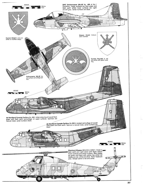 Omani Air Force Strikie