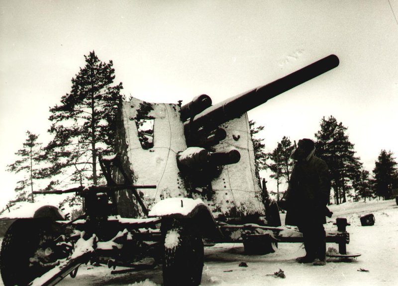 Немецкое тяжелое орудие, захваченное под Малоярославцем.