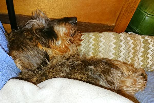 [Image: DSC-4322.jpg]